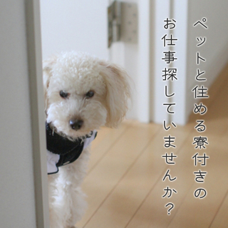 【🐶ペットと一緒に住める寮】部品の組付け作業！31万円稼げます！...