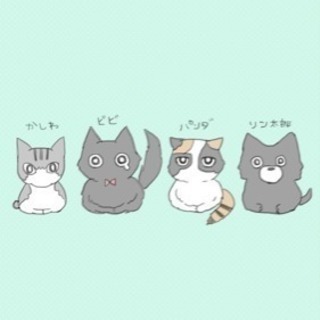 バンドしたいです!!ヴォーカル希望です!