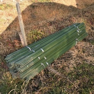 農業用中古イボ竹16㎜×2100㎜480本