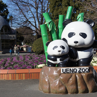 1月12日(1/12)  祝！シャンシャン！上野動物園に人気のパ...
