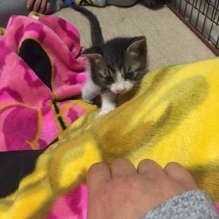 ちょうど一ヶ月たちました‼︎