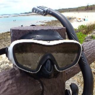 レッツダイビング！Scuba & Snorkeling 彩…