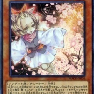 遊戯王メンバー募集！！