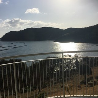 今日、伊勢神宮行ってる人いたら、一緒にまわりませんか？