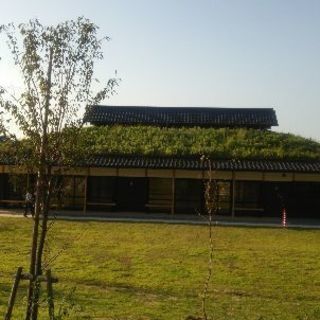 気軽にLINE、カカオ友達から♪