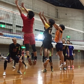 社会人バレーボール メンバー募集