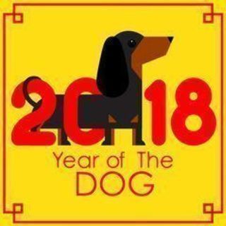 本日◆明治神宮☆きくさんぽ💟初詣■1/3(水) お出かけ招福祈願...