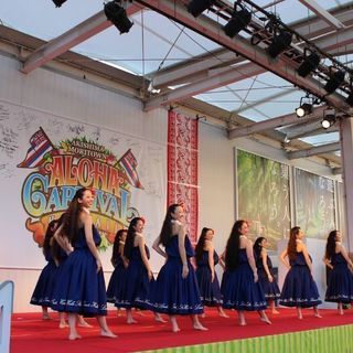 🌺横浜フラダンス　木曜　クプナクラスの画像