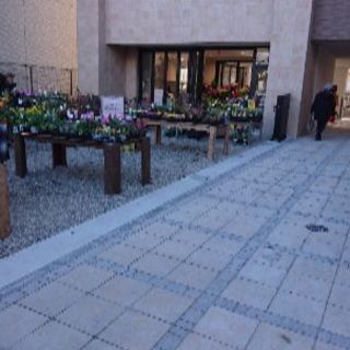NFD プリザーブドフラワーディプロマ12回！