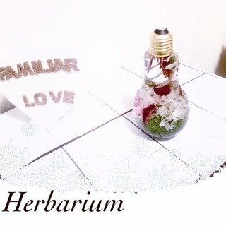 アーティフィシャルフラワー・ハーバリウム教室の画像