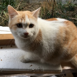 ふわふわの春生まれ
