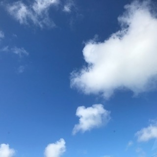 ダイエット仲間募集