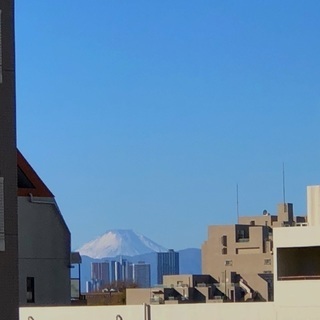 体験随時募集中✴︎スートラス ヨガスタジオの画像