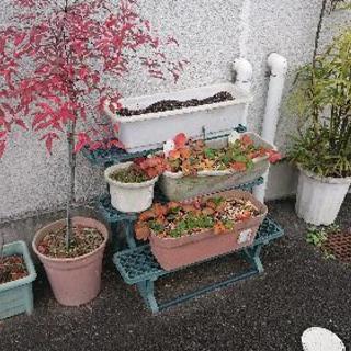 鉢植えリサイクルのチカイ