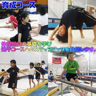 エムズ体操クラブの画像