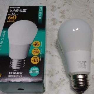 東芝　電球形蛍光灯EFA14EN
