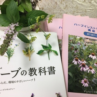 ハーブの活用法を楽しく学び資格取得も可能！ハーブスクール（令和2年4月スタート）無料体験説明会の画像