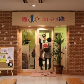1月28日(1/28)  猫カフェDE動物好きの優しい性格のよい...