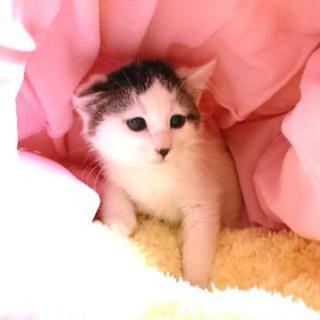赤い糸がピンと張ったら♡