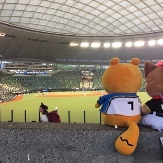 野球指導と練習サポートさせてもらいます(ソフトボールも可能)