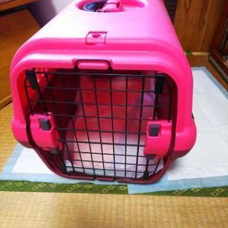 小型犬ゲージ