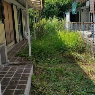 庭木の剪定・空家管理　承ります − 福岡県