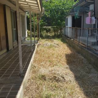 庭木の剪定・空家管理　承ります - 地元のお店