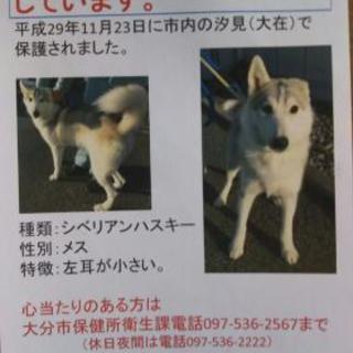 迷子です(T-T)
