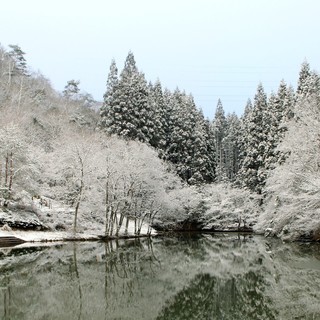 写真撮影