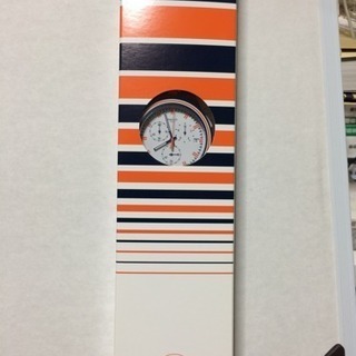 swatch ローランギャロス(希少価値あり)