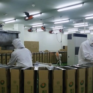 ★急募!! 即日勤務可★月収28万円以上可！！人気のサトウキビの...