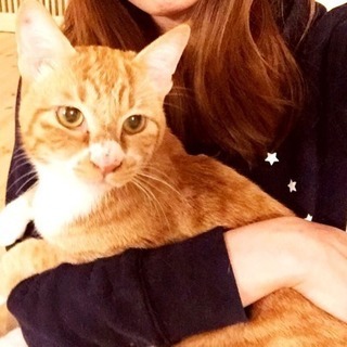 飼育放棄された茶白靴下兄弟