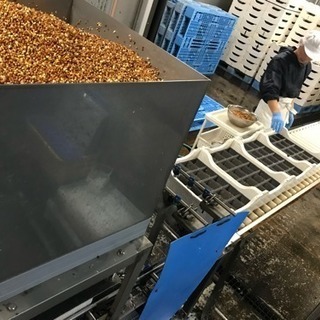 募集再開 急募 時給1000円 超ド短期OK 週払い 簡単作業の画像