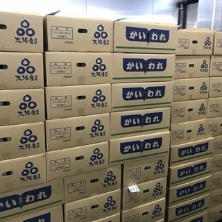 募集再開 急募 時給1000円 超ド短期OK 週払い 簡単作業の画像