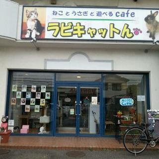 第1回、にゃんこの会。メンバー募集中。