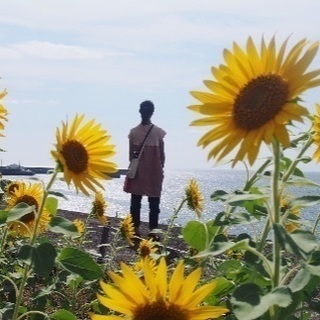 カメラ散歩しませんか？*ˊᵕˋ* − 広島県