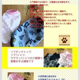 わんこ服教室入門講座の画像
