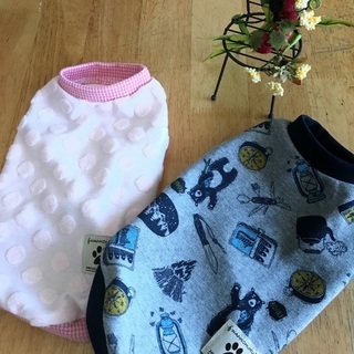 わんこ服教室入門講座の画像