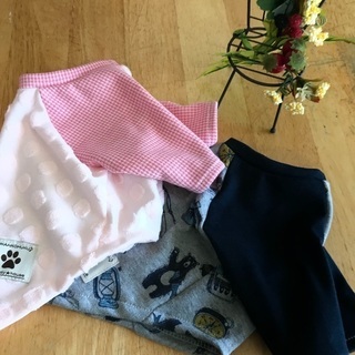 わんこ服教室入門講座の画像