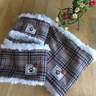 わんこ服教室体験講座