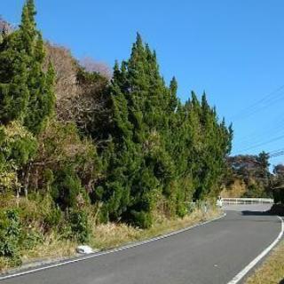 土地貸します！の画像