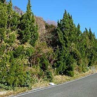 土地貸します！の画像