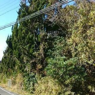 土地貸します！の画像