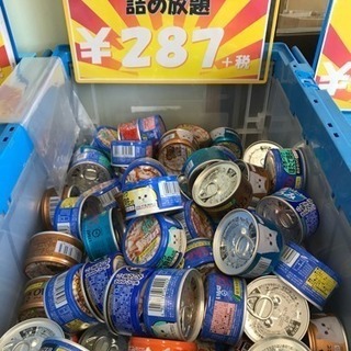 本日、最終日