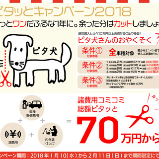 他社ローンがダメなら【くるまのミツクニ】！オデッセイ Mの画像