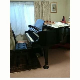 障がいのあるお子様も楽しくレッスン🎶