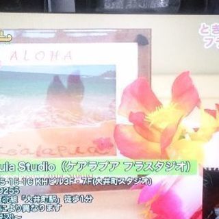 🌺駅から１分の大井町フラ教室🩷　６月体験会スタート！体験会予約中🌴🌺子供から大人まで、1から美しくフラ🌺の画像