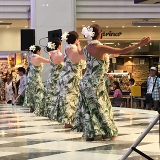 フラ・タヒチアンダンス教室 Pualani's Hula&OriTahiti 大山クラス ☆ 初めての方から経験者さんまで大歓迎です！の画像
