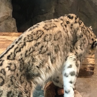5/11㈰　14:00～ 29～45歳　円山動物園散策 − 北海道