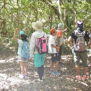 まちづくり支援　契約社員募集　１６万円～【正社員登用有り】の画像